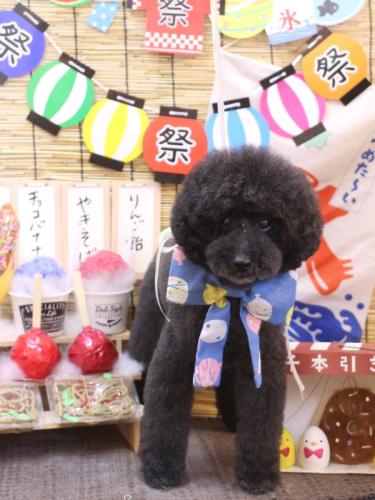 20240727ラブくん